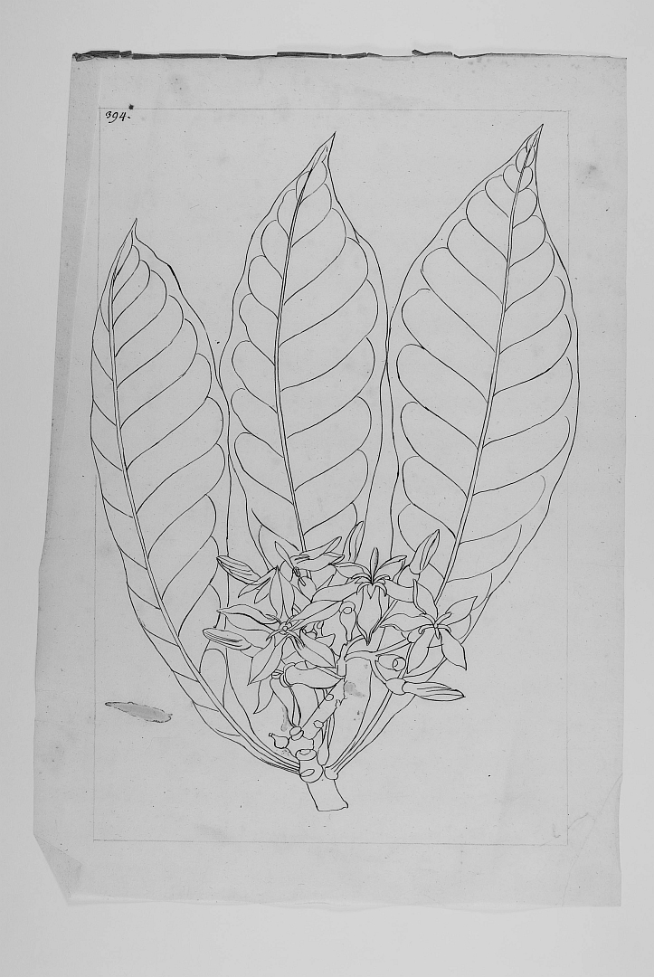no HD illustration available (3)