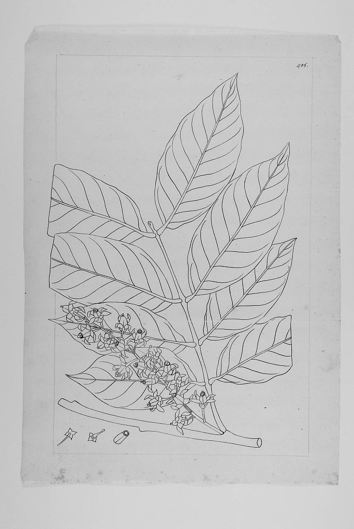 no HD illustration available (3)