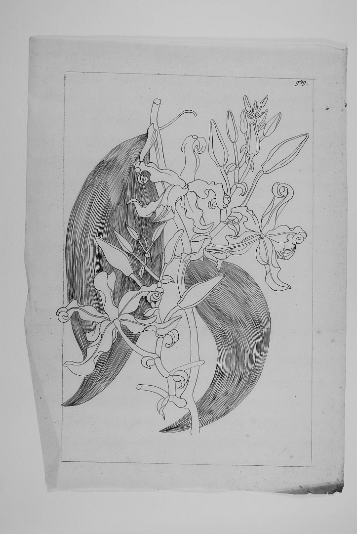 no HD illustration available (3)