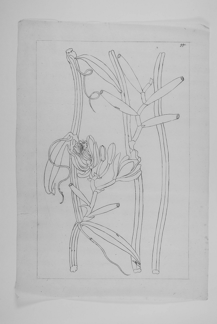 no HD illustration available (3)