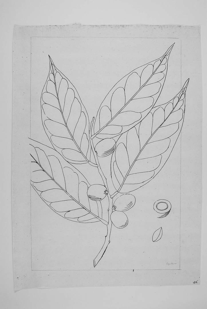 no HD illustration available (m1)