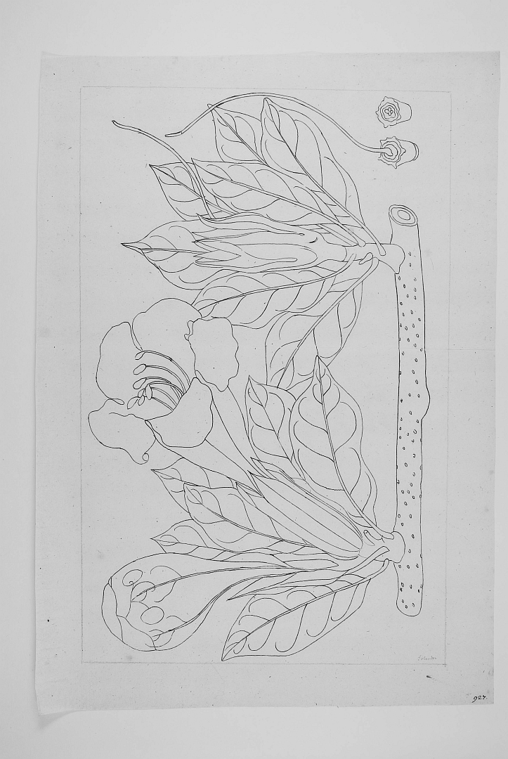 no HD illustration available (m1)