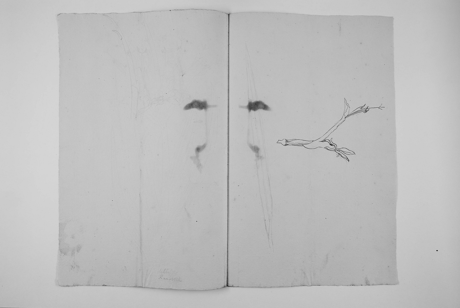 no HD illustration available (m2)