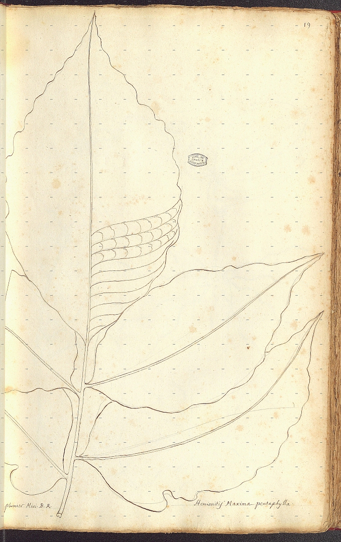 no HD illustration available (3)