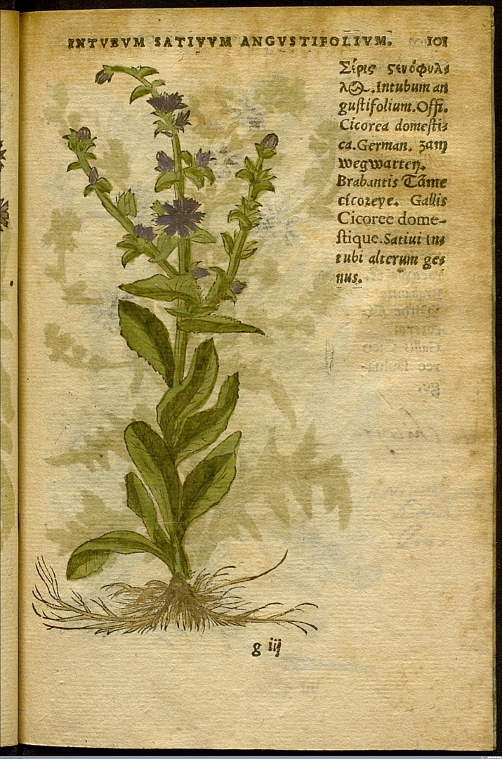 no HD illustration available (3)