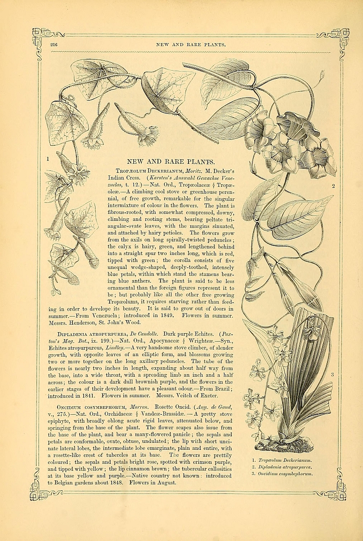 no HD illustration available (3)
