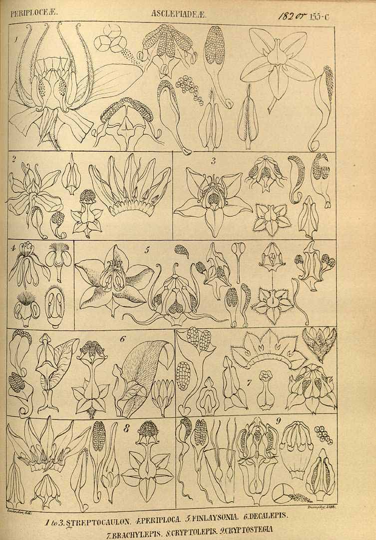 no HD illustration available (3)
