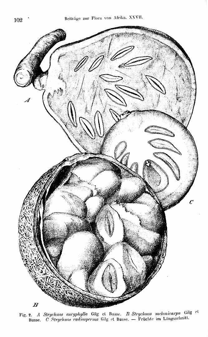 no HD illustration available (3)