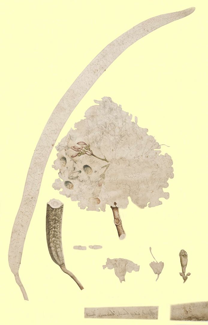 no HD illustration available (3)