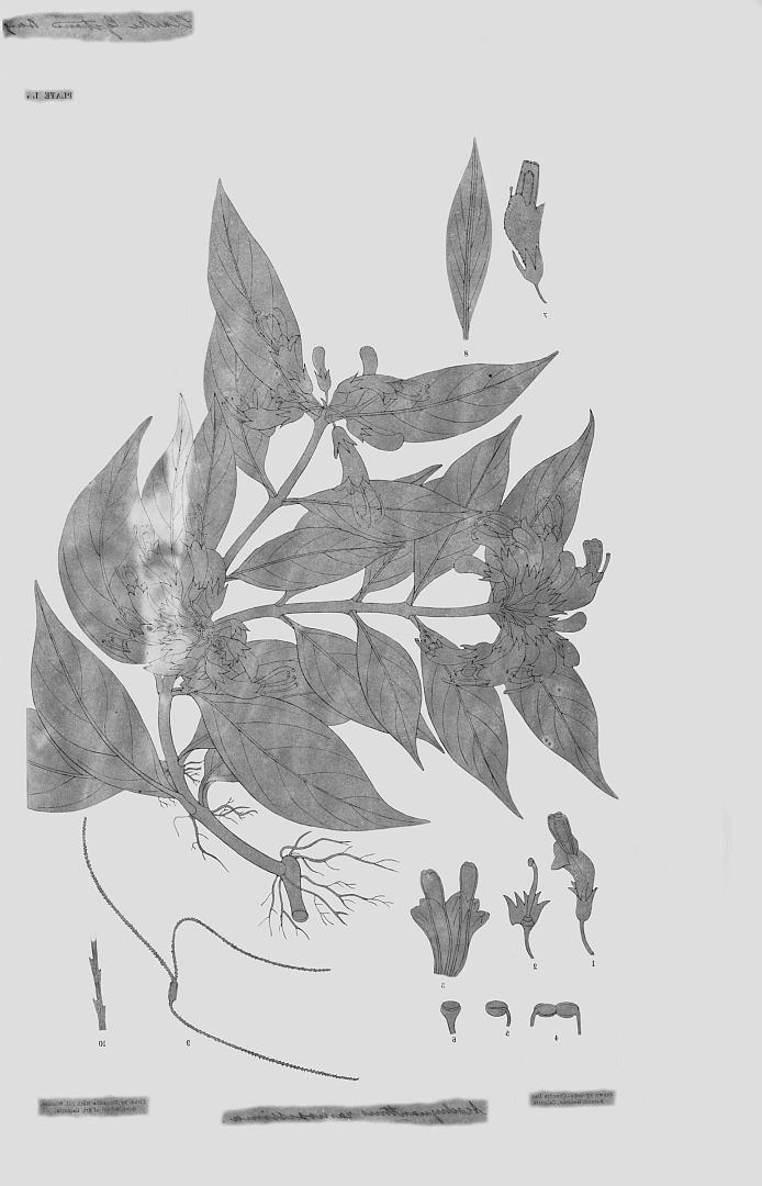 no HD illustration available (3)