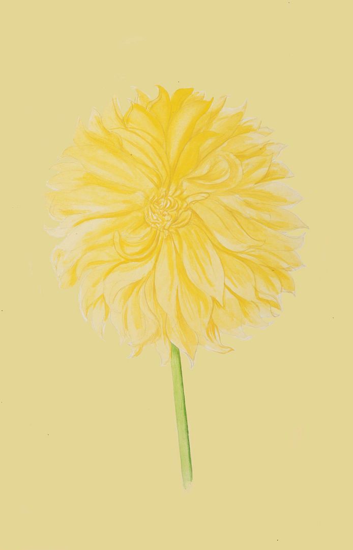 no HD illustration available (m1)