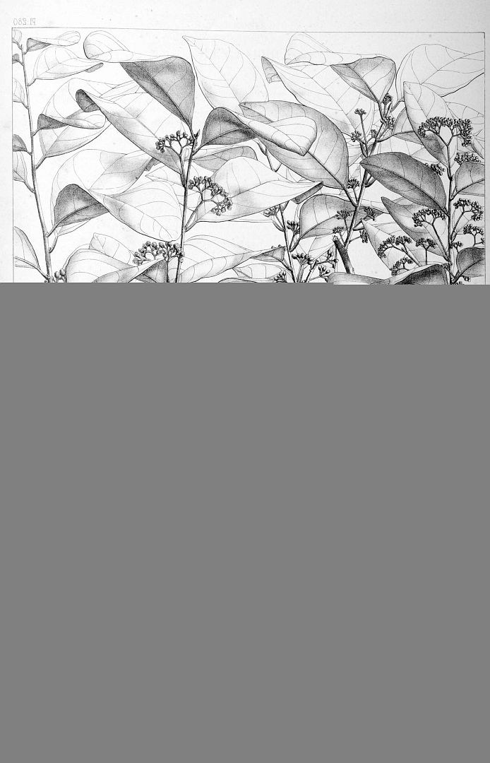 no HD illustration available (3)
