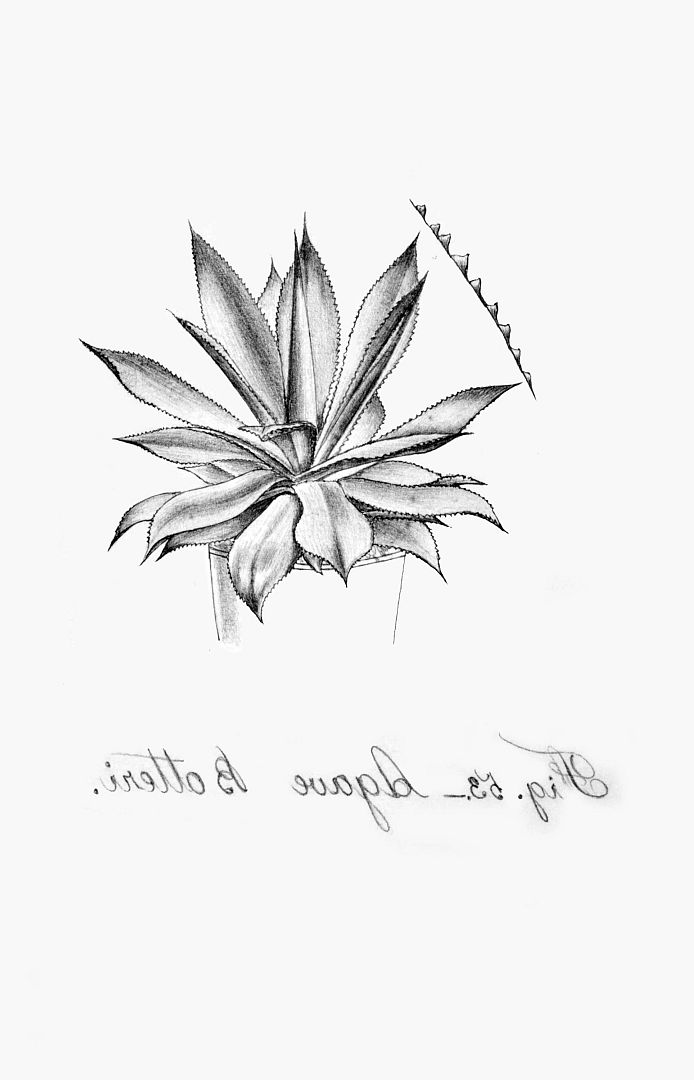 no HD illustration available (m1)