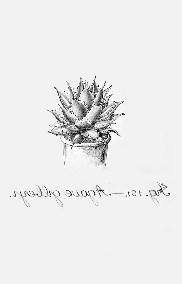 no HD illustration available (m1)