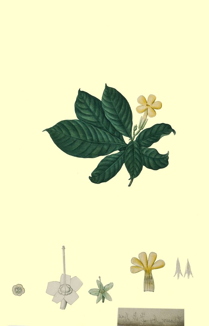 no HD illustration available (3)