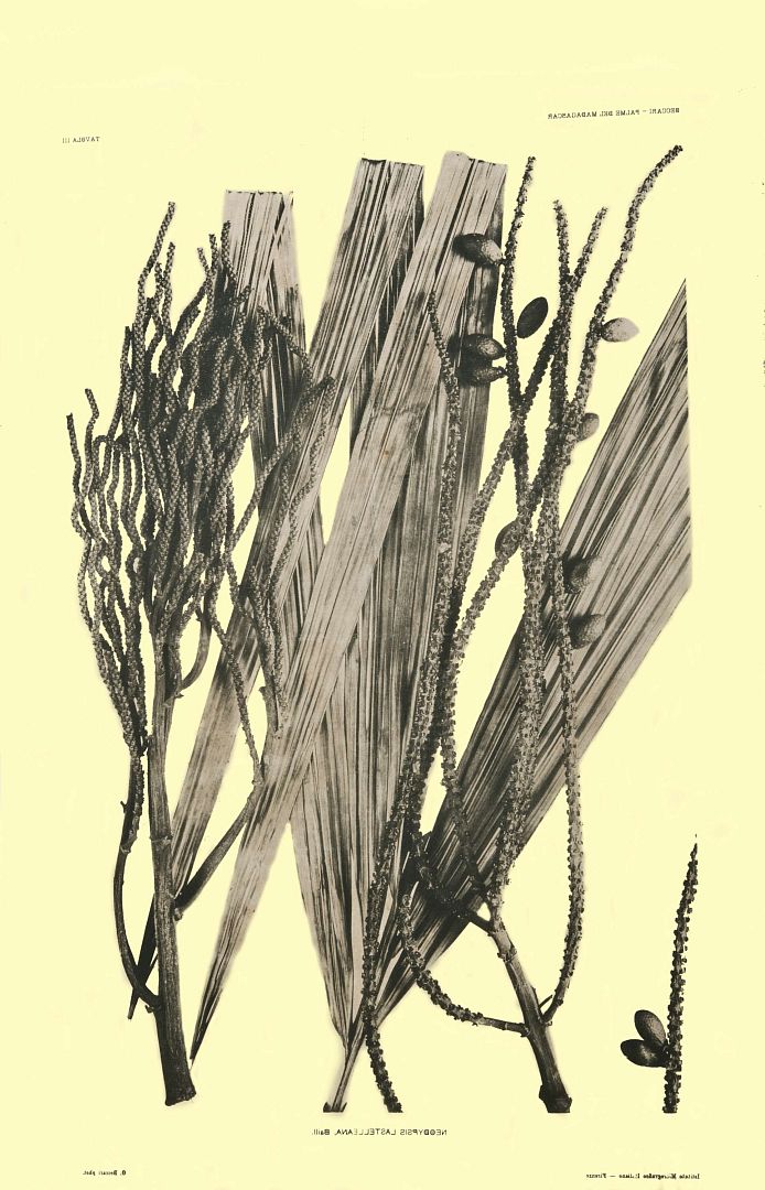 no HD illustration available (3)