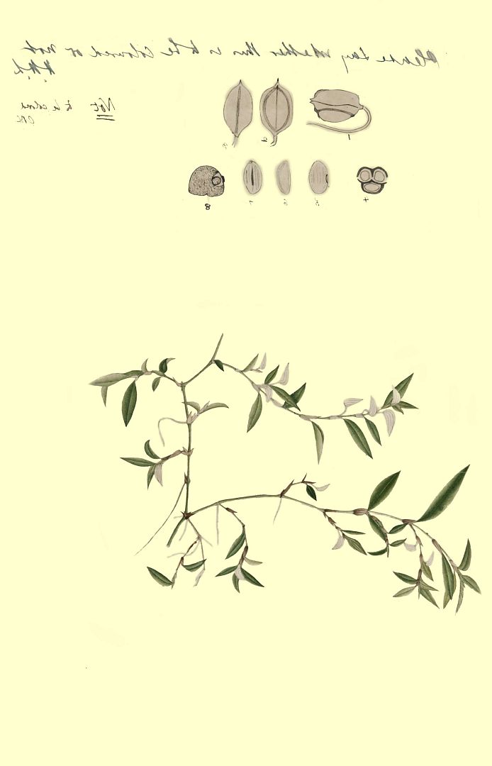 no HD illustration available (3)