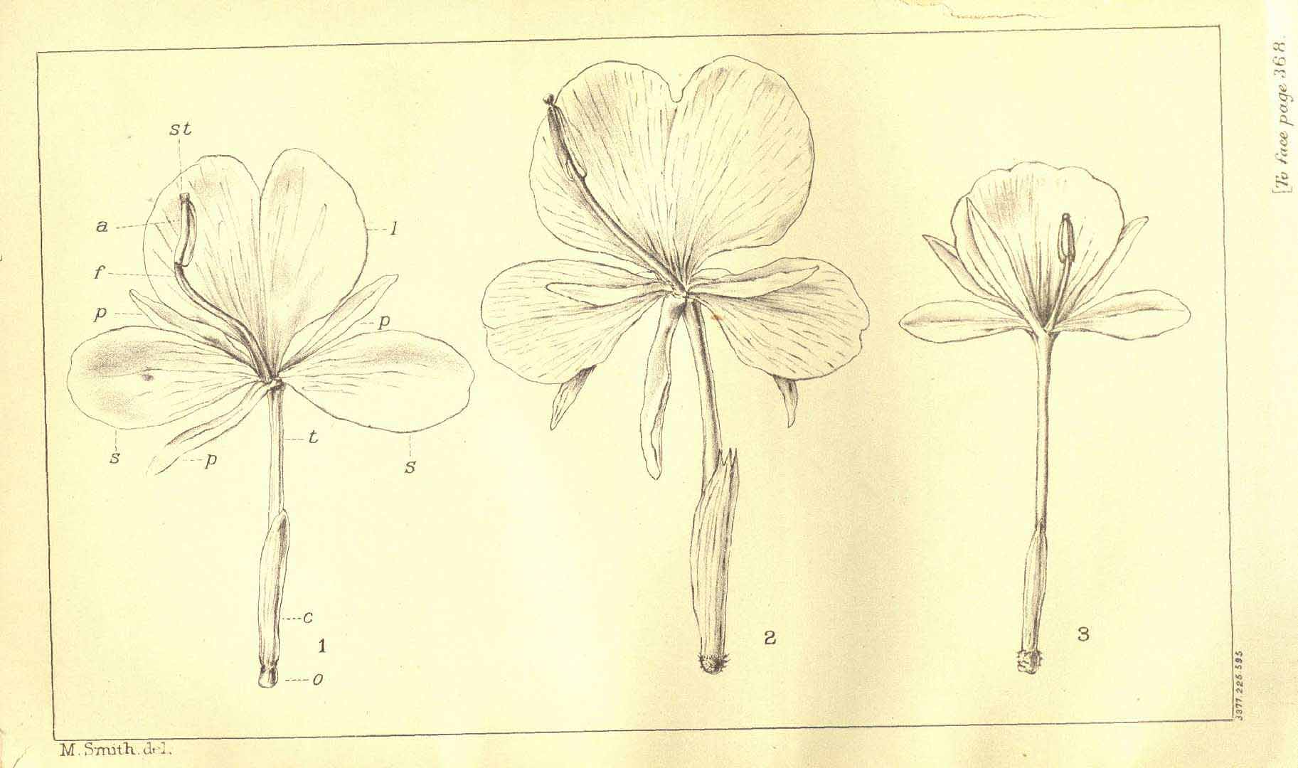 no HD illustration available (3)