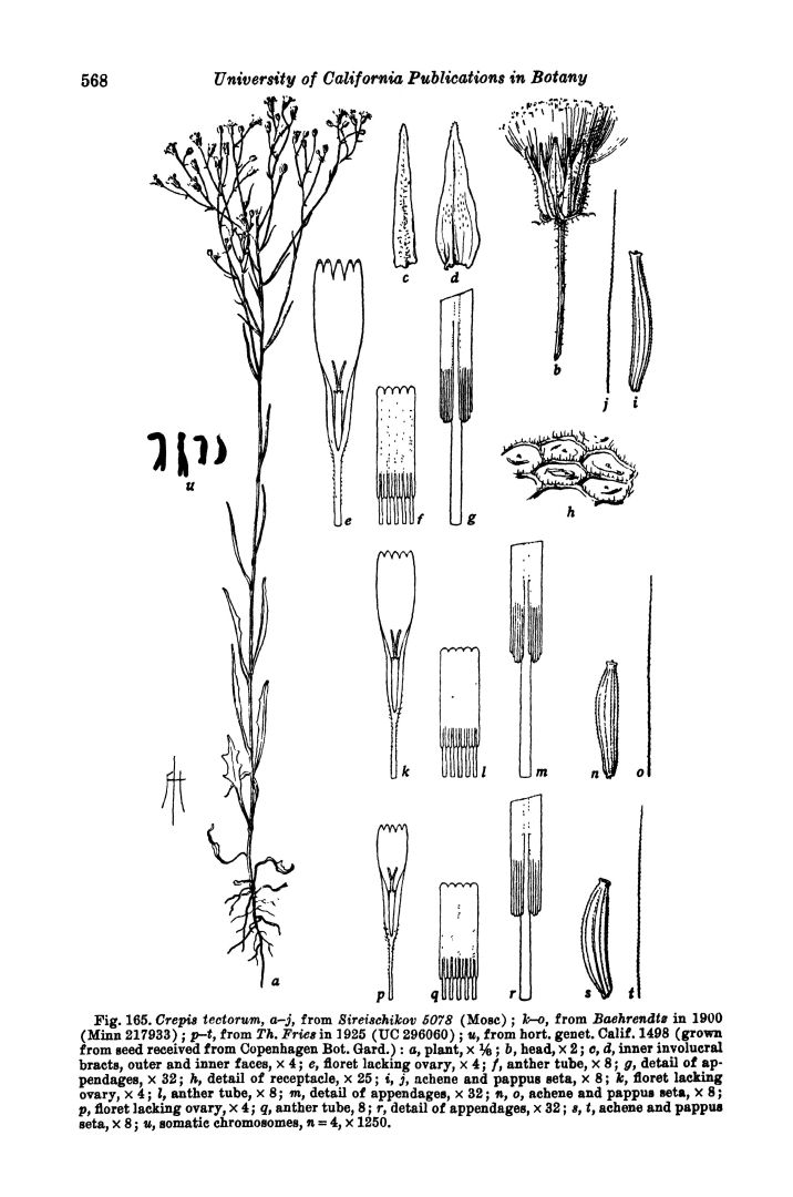no HD illustration available (3)