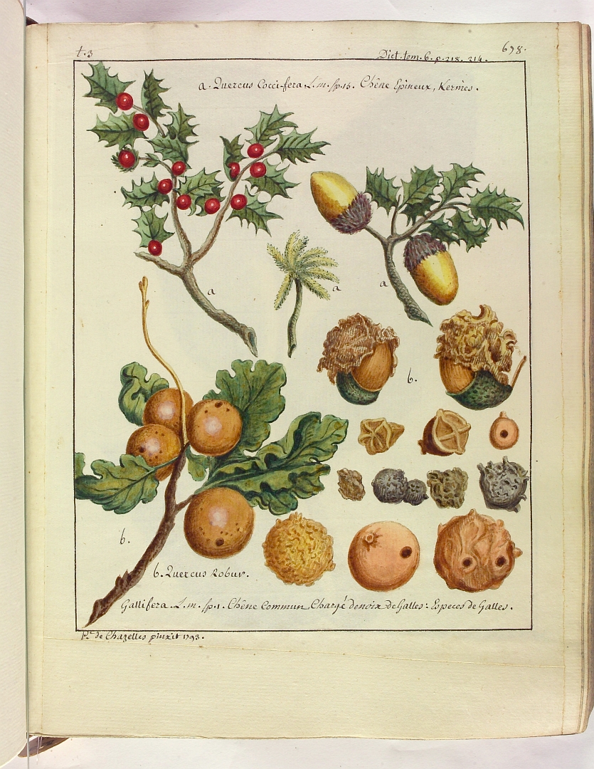 no HD illustration available (3)