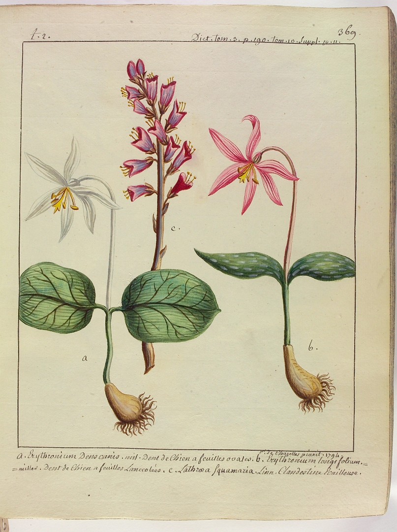 no HD illustration available (3)