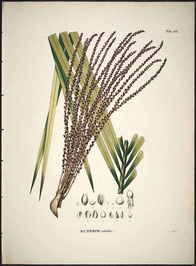 no HD illustration available (3)