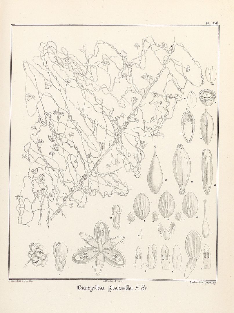 no HD illustration available (3)