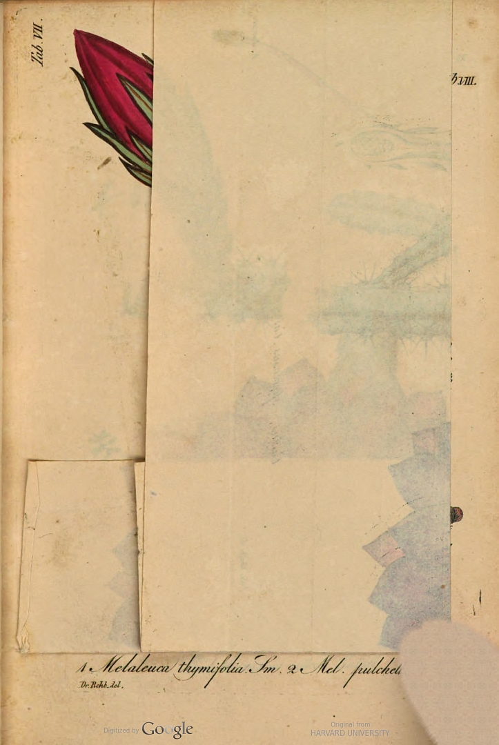 no HD illustration available (3)