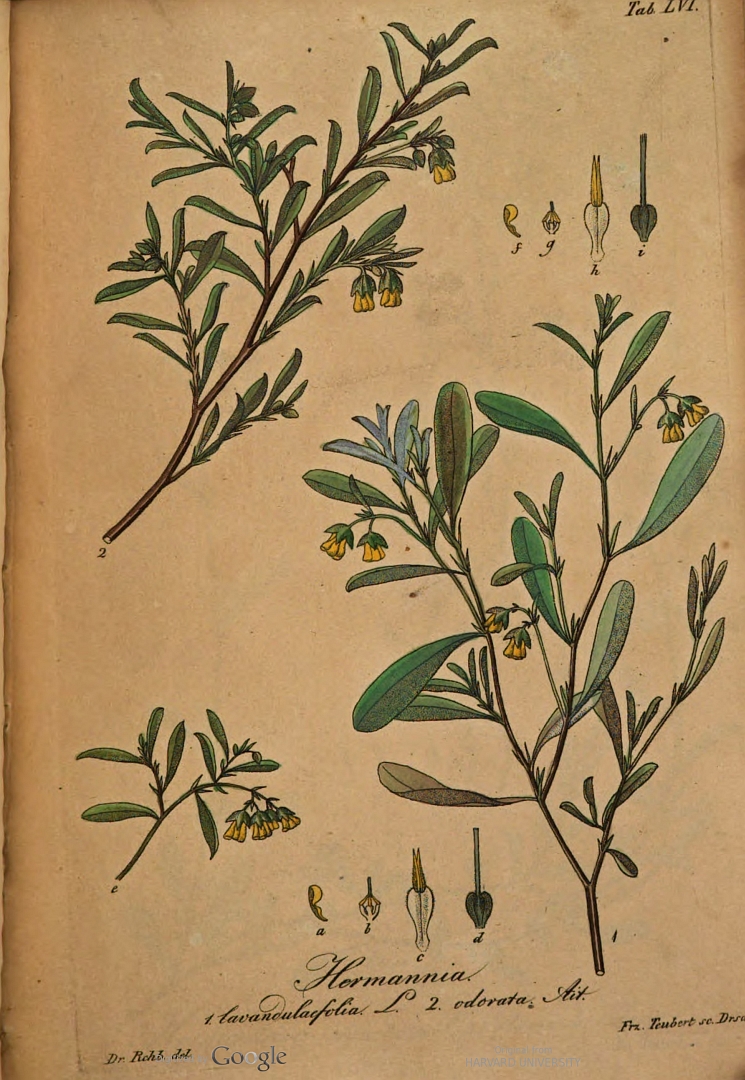 no HD illustration available (3)