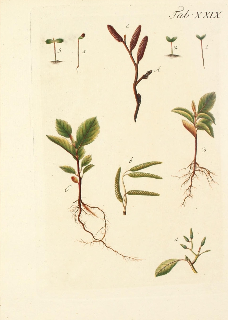 no HD illustration available (3)