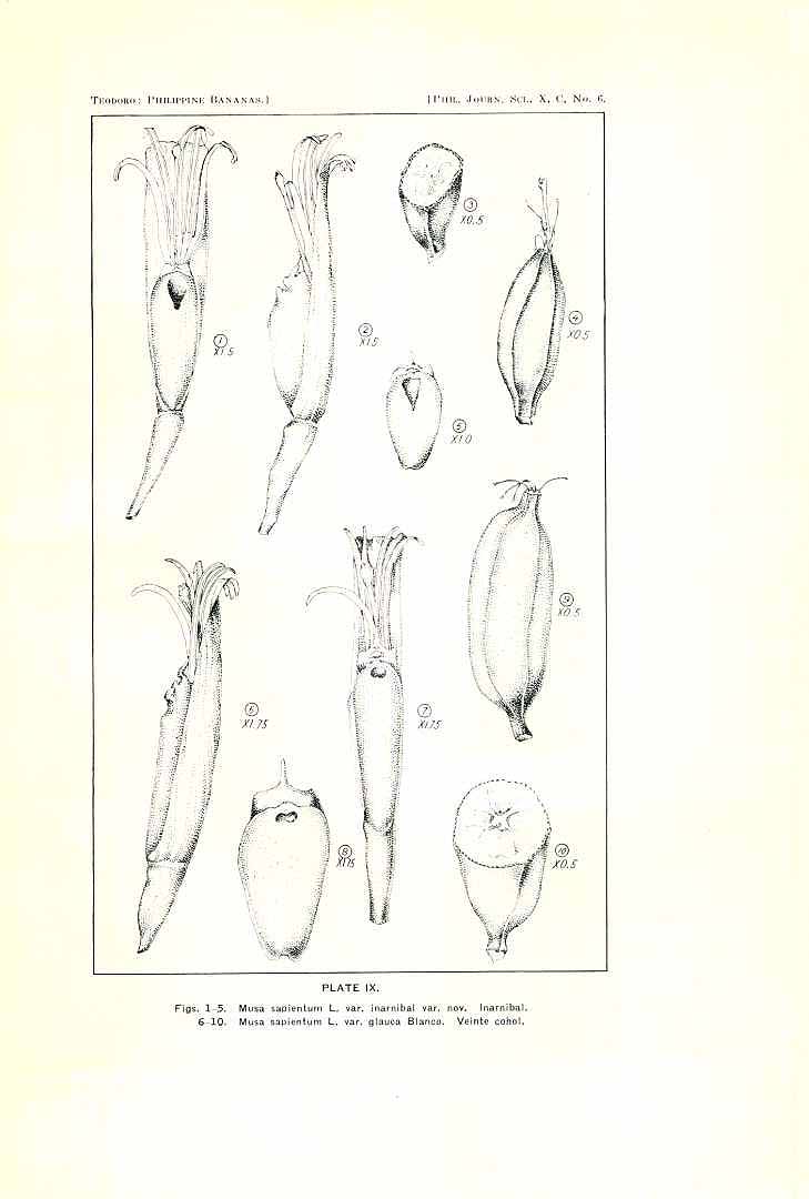 no HD illustration available (3)