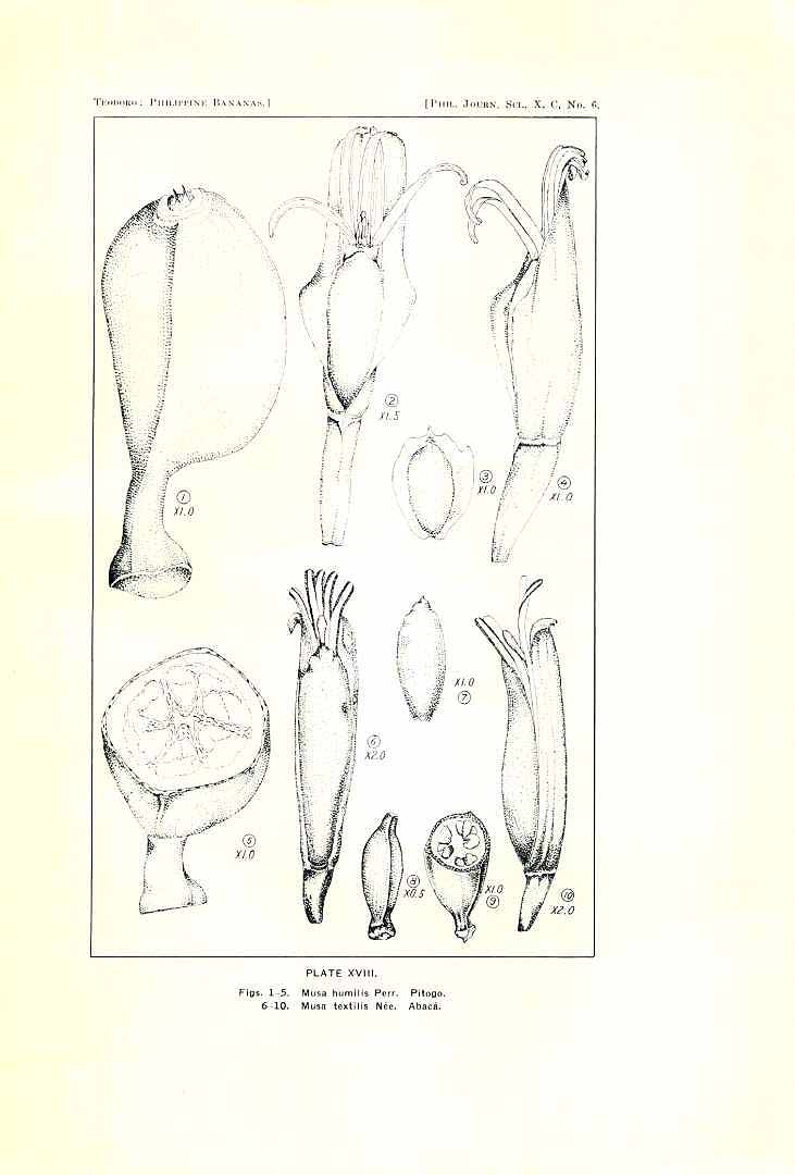 no HD illustration available (3)