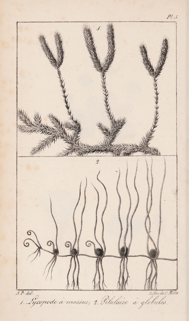 no HD illustration available (3)