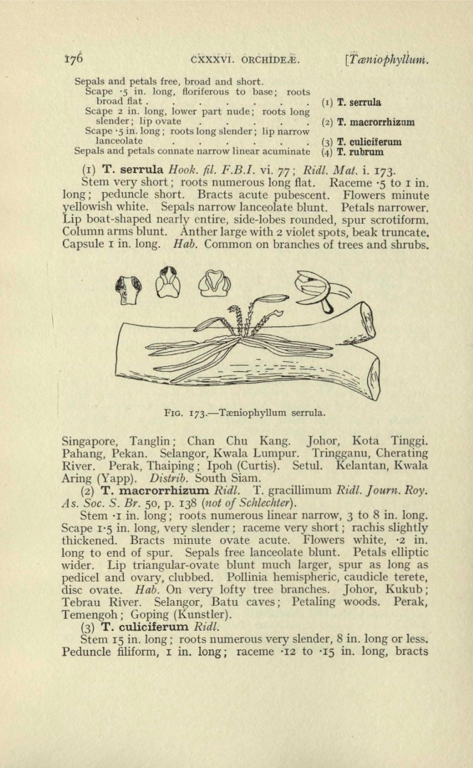 no HD illustration available (3)