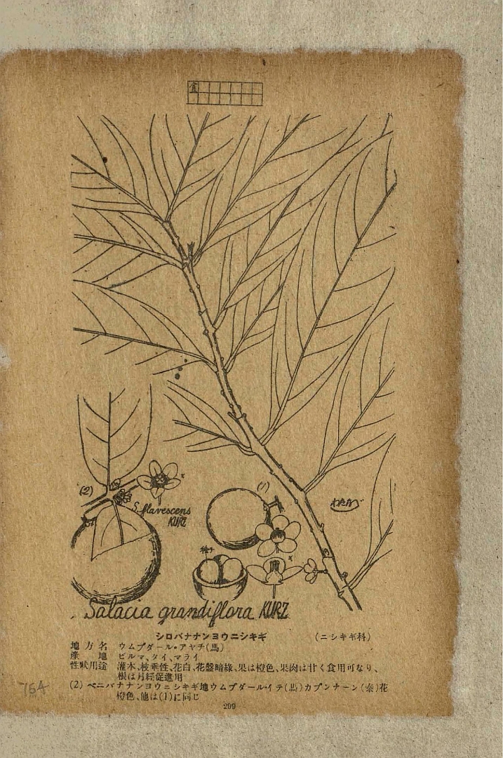 no HD illustration available (3)