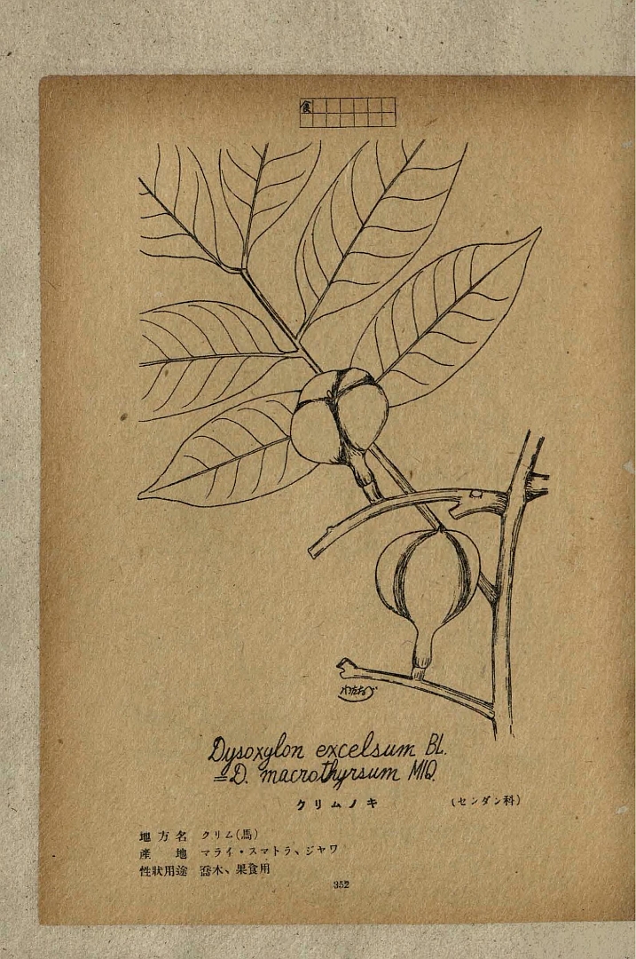 no HD illustration available (3)