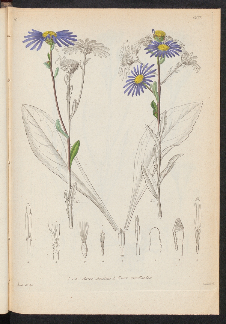 no HD illustration available (3)