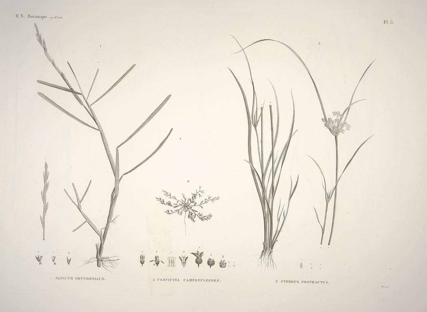 no HD illustration available (3)