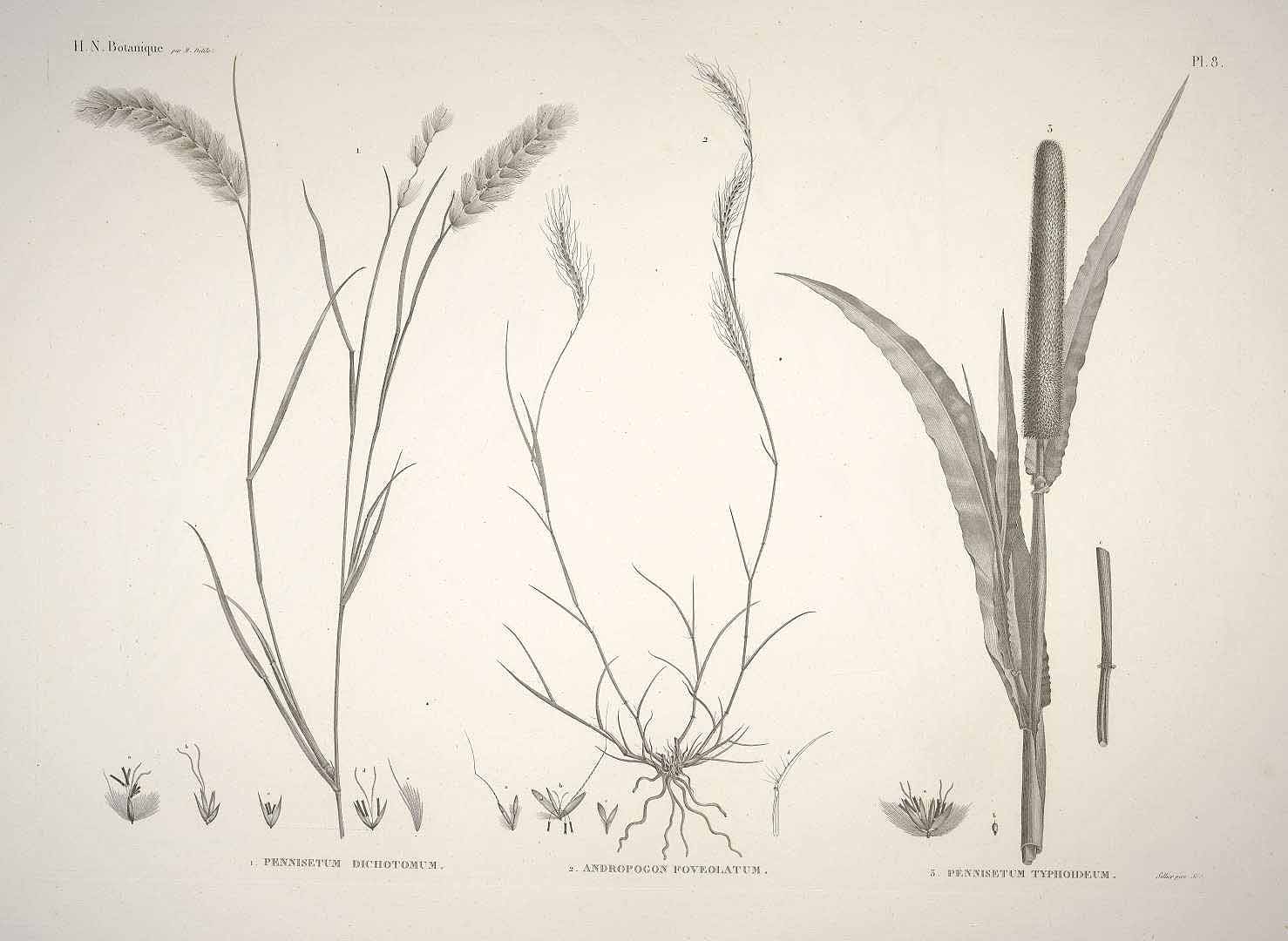 no HD illustration available (3)