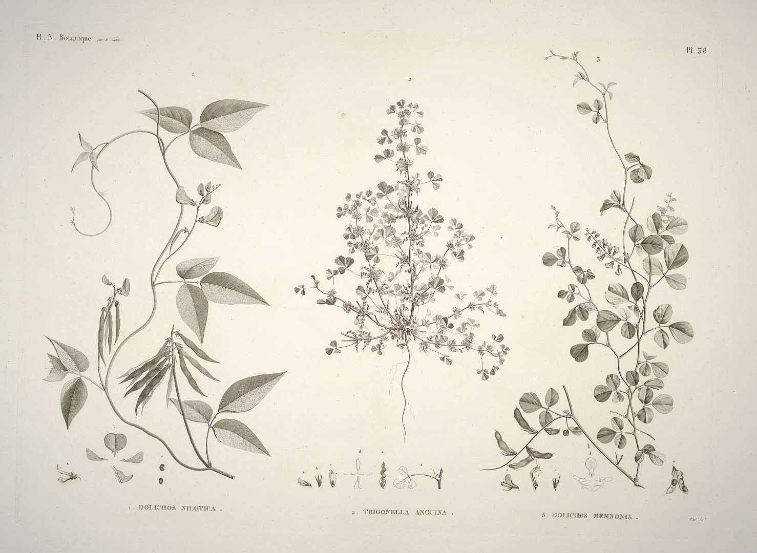 no HD illustration available (3)