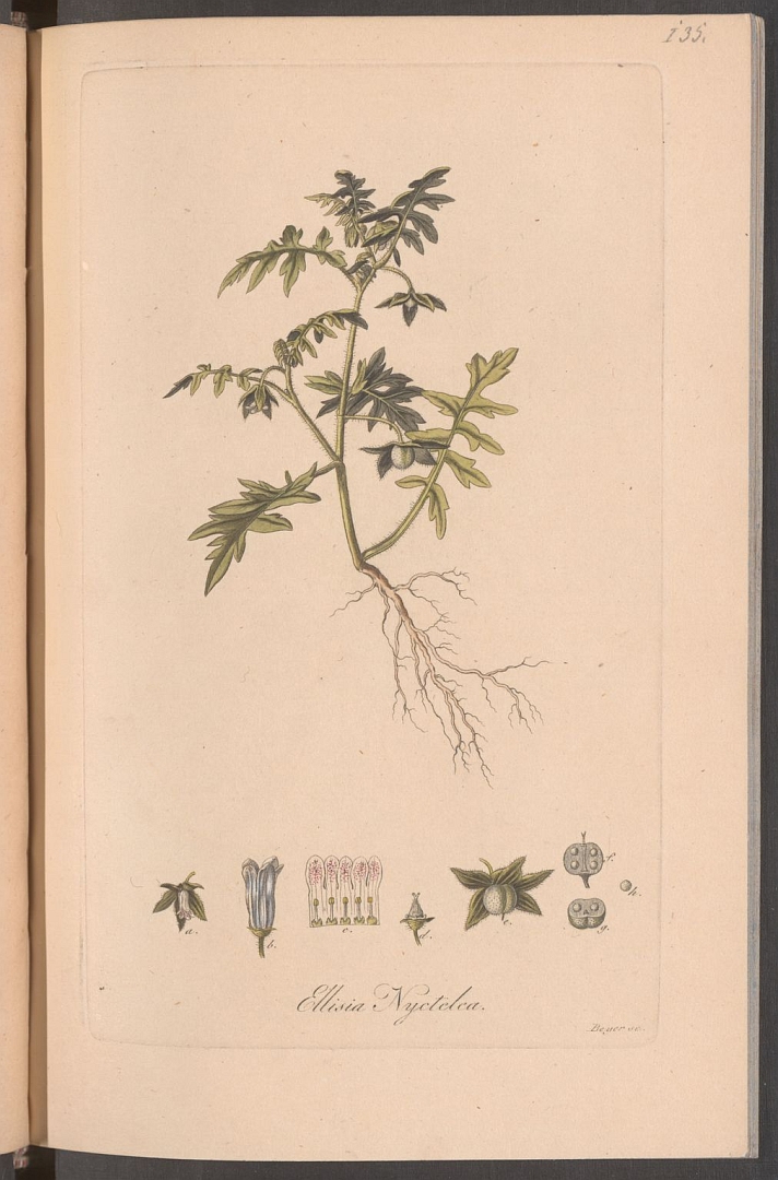 no HD illustration available (3)