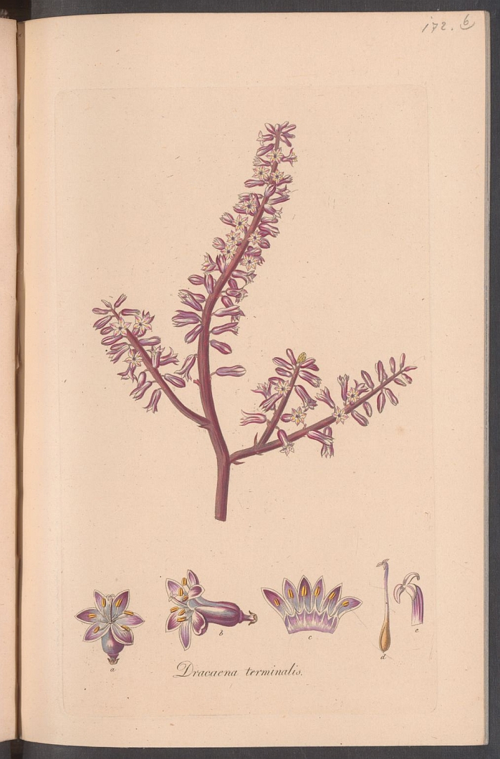 no HD illustration available (3)