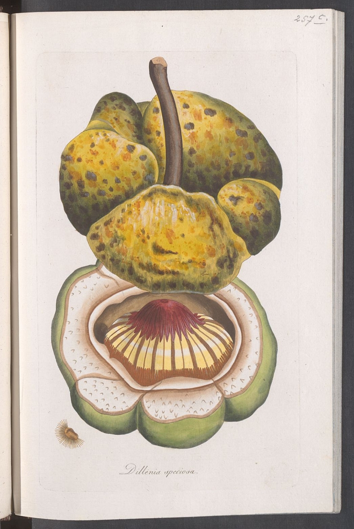 no HD illustration available (3)