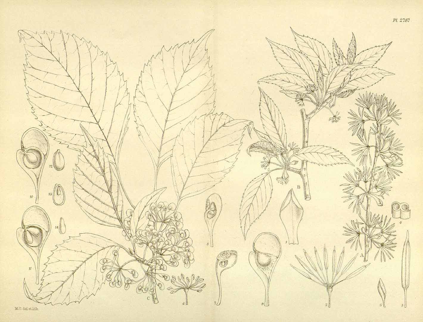 no HD illustration available (3)