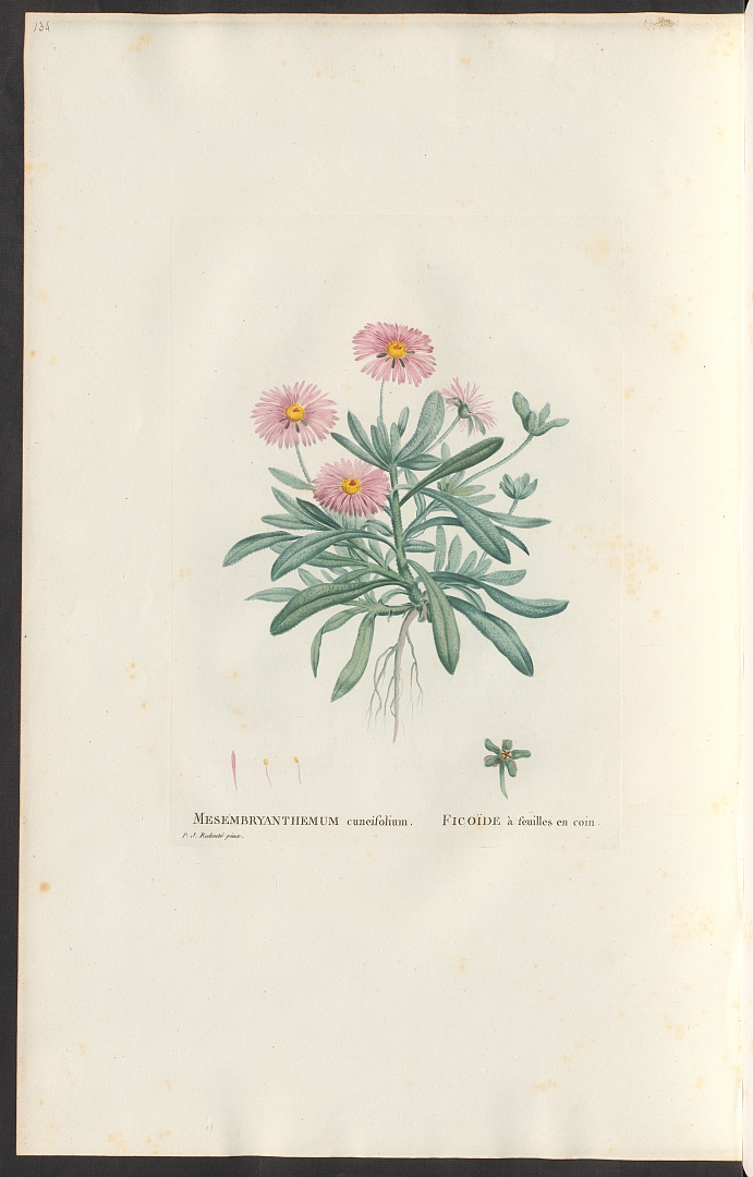 no HD illustration available (3)