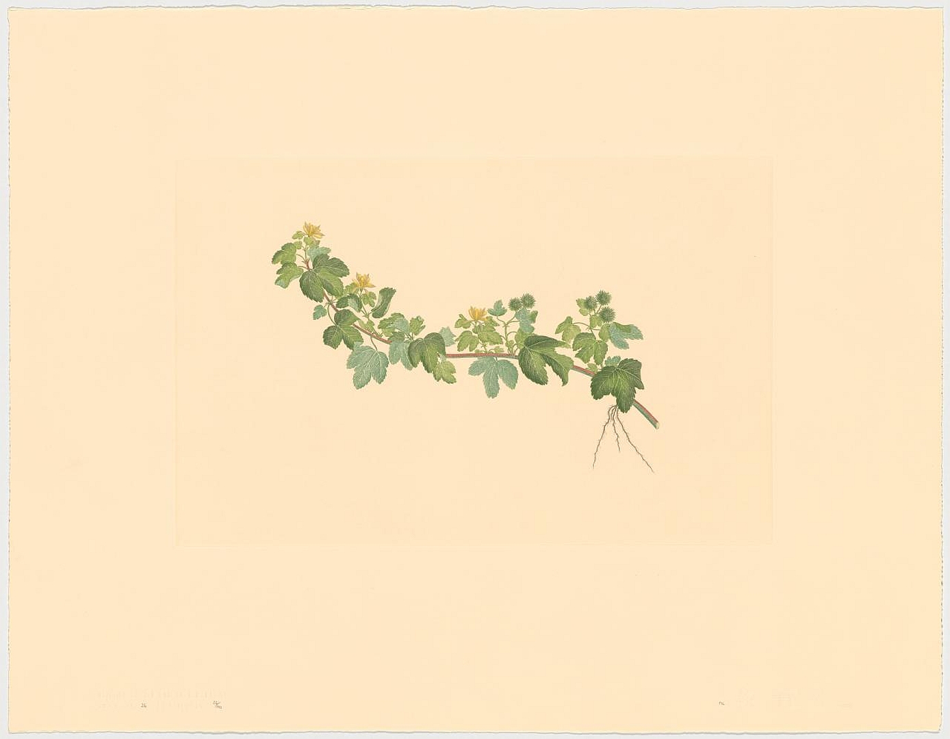 no HD illustration available (m2)