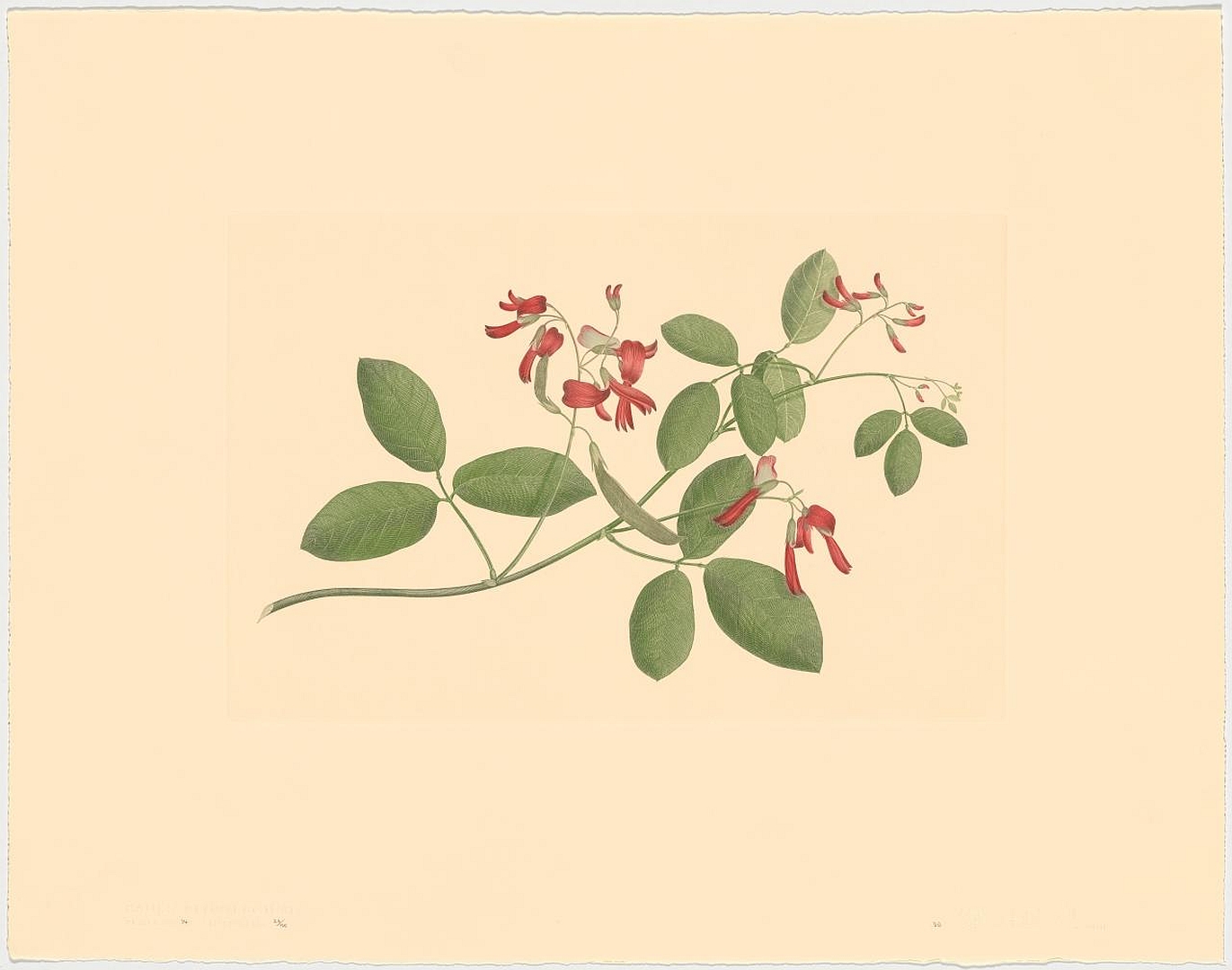 no HD illustration available (3)