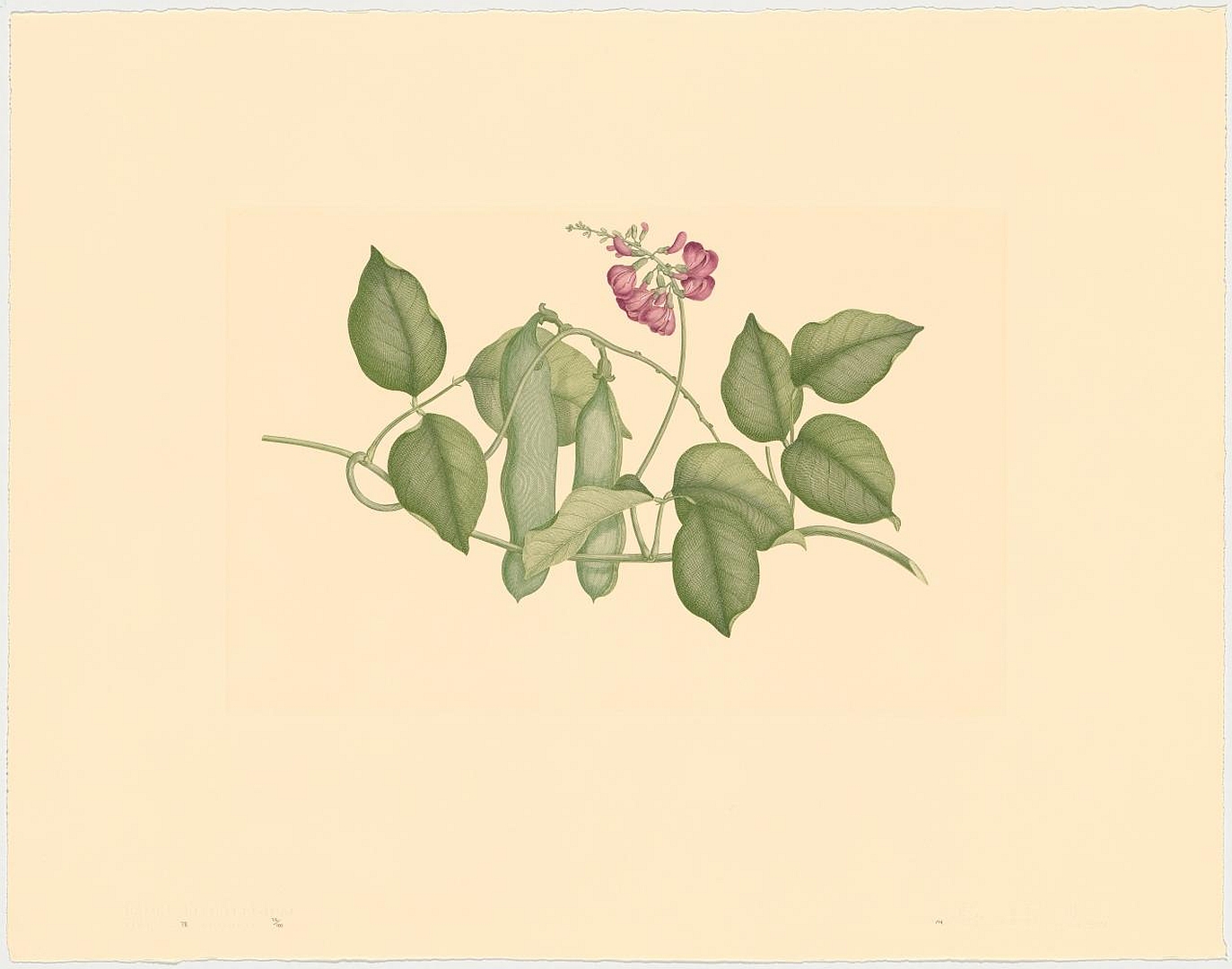 no HD illustration available (3)