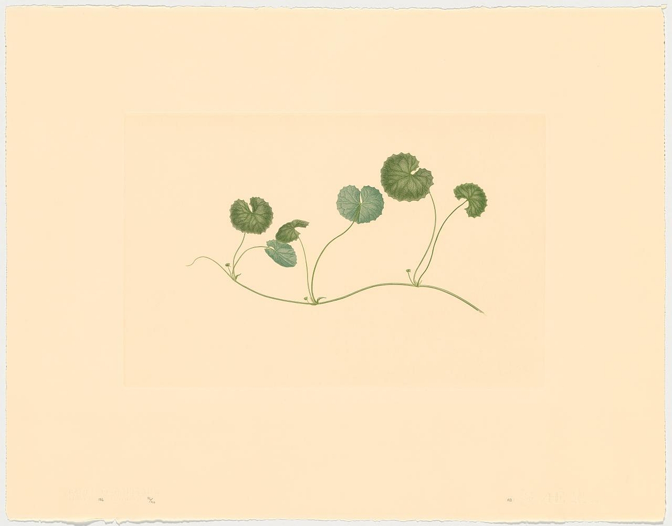 no HD illustration available (3)