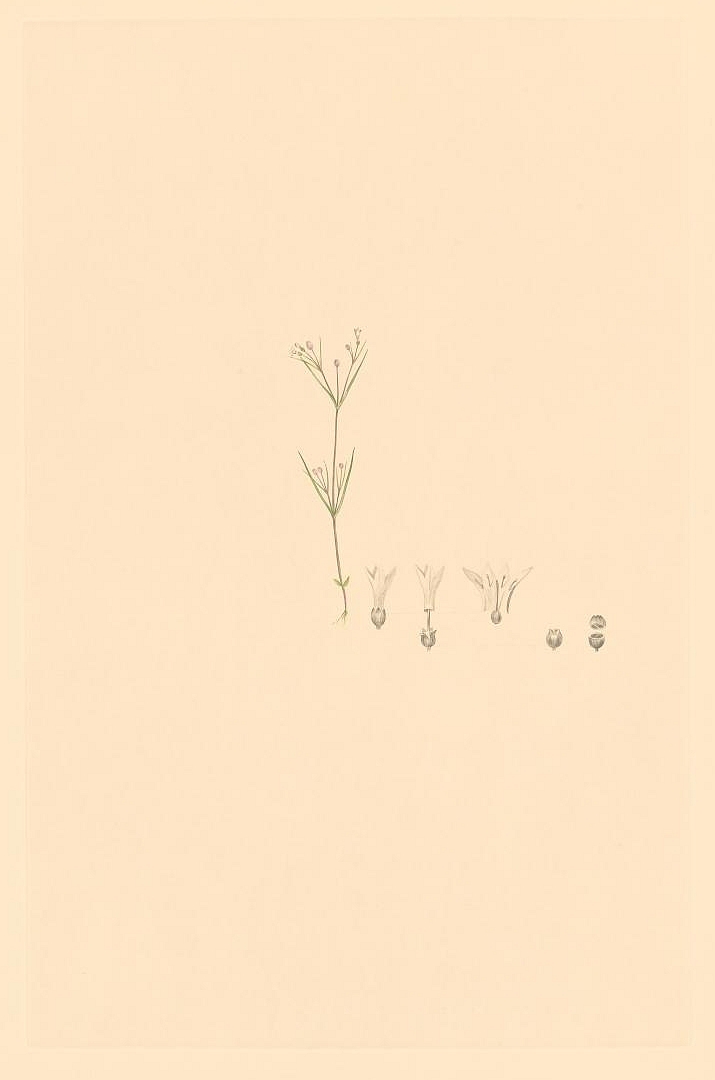 no HD illustration available (3)
